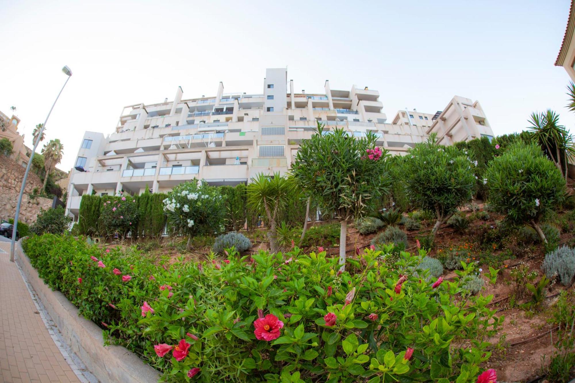 Apartamentos Msc Golf & Beach La Envia Zewnętrze zdjęcie